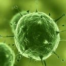 病毒RNA提取實(shí)驗